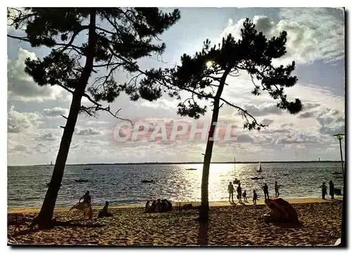 Cartes postales moderne Cote d'Argent Bassin d'Arcachon Coucher de Soleil a travers les Pins