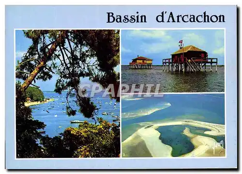 Cartes postales moderne Couleurs et lumiere de france Bassin d'Arcachon Gironde la Pointe aux Chevaux les Maisons sur Pi