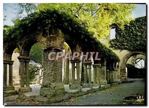 Cartes postales moderne Saint Emilion Gironde Ancien couvent des Cordeliers les ruines du cloitre