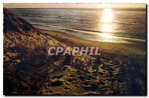 Moderne Karte Bassin d'Arcachon au pied des dunes contre-jour sur le bassin