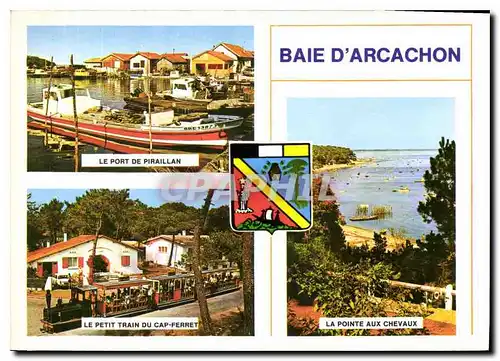 Cartes postales moderne Couleurs et Lumiere de France la Baie d'Arcachon Gironde Le port de Piraillan Le petit Train du