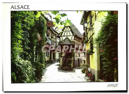 Cartes postales moderne En Alsace