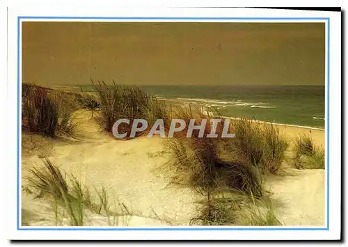 Cartes postales moderne PP les Dunes et l'Ocean