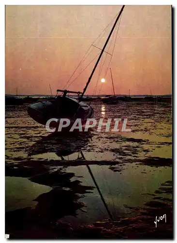 Cartes postales moderne Couleurs et Lumiere de France Bassin d'Arcachon Gironde Coucher de soleil sur le Bassin a maree