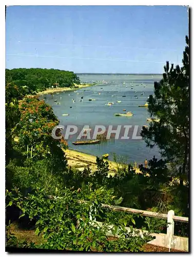 Cartes postales moderne Couleurs et Lumiere de France Bassin d'Arcachon Gironde la Pointe aux Chevaux