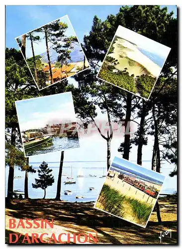 Cartes postales moderne Bassin d'Arcachon Gironde