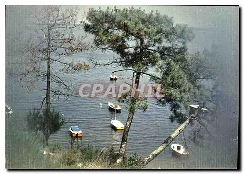 Moderne Karte Lumiere et Couleurs de Gironde Les bords de Lac