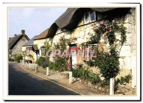 Cartes postales moderne Brightstone Isle of Wight