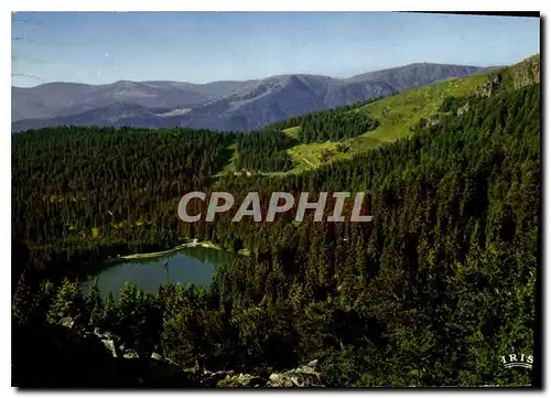 Cartes postales moderne Les Vosges Pittoresques Le Lac Vert Der grune See