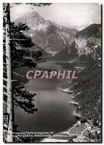 Cartes postales moderne Plansee und Haiterwangersee mit Thaneller Hotel Forelle