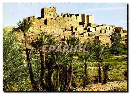 Cartes postales moderne Le Maroc Pittoresque Casbah Tifoultouot