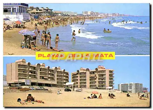 Cartes postales moderne Torrevieja Alicante