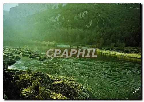 Cartes postales moderne Gorges de l'Ardeche