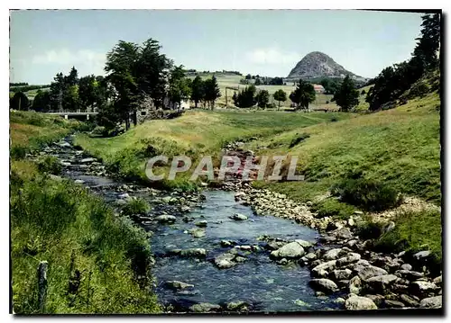 Cartes postales moderne Ardeche Pittoresque Le Mont Gerbier de Jonc