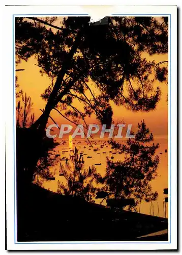 Cartes postales moderne Coucher de Soleil