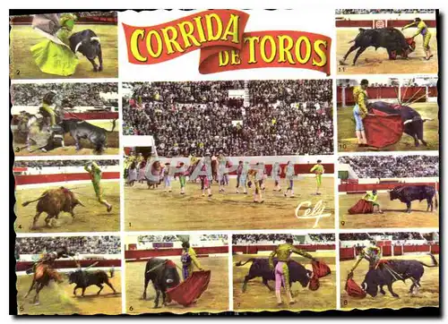 Cartes postales moderne Diverses phases d'une corrida Taureau