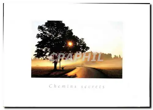 Cartes postales moderne Chemins Secrets