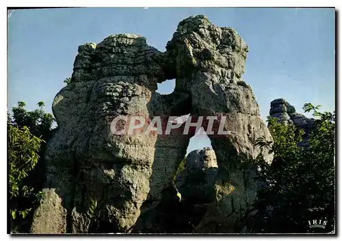 Cartes postales moderne Ardeche Pittoresque Env des Vans Le Bois de Paiolive rempli de formes bizarres