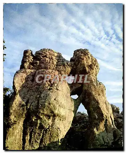 Moderne Karte Paysages du Vivarais Le Bois de Paiolive Tours et le Lion