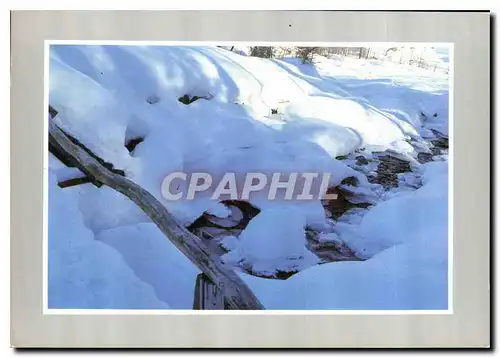 Cartes postales moderne Les joies de la neige