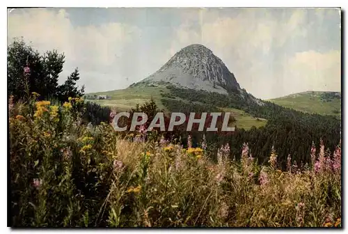 Cartes postales moderne Les Belles Images du Vivarais Le Gerbier de Jonc