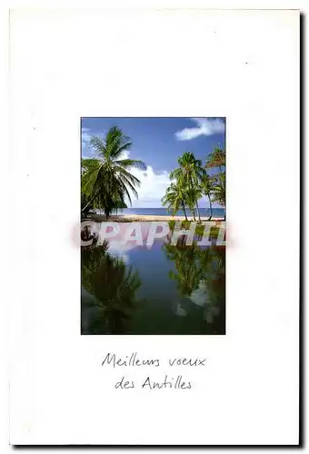 Cartes postales moderne Meilleurs voeux des Antilles