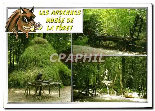 Cartes postales moderne Les Ardennes Musee de la Foret