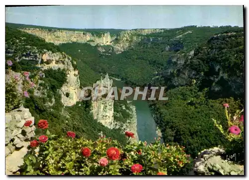 Cartes postales moderne Couleurs et Lumiere de France Gorges de l'Ardeche La Cathedrale