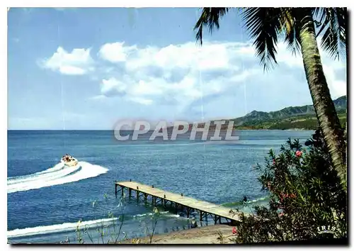 Cartes postales moderne Antilles Radieuses La mer des Caraibes