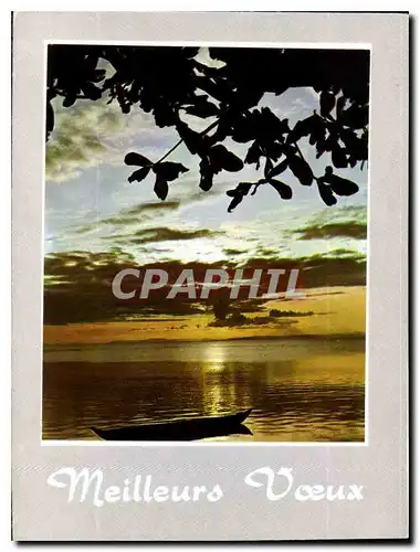 Cartes postales moderne Meilleurs Voeux Madagascar