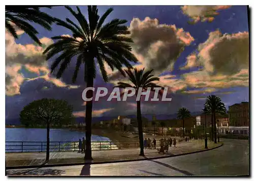 Cartes postales moderne Soleil Couchant sur la Mediterranee