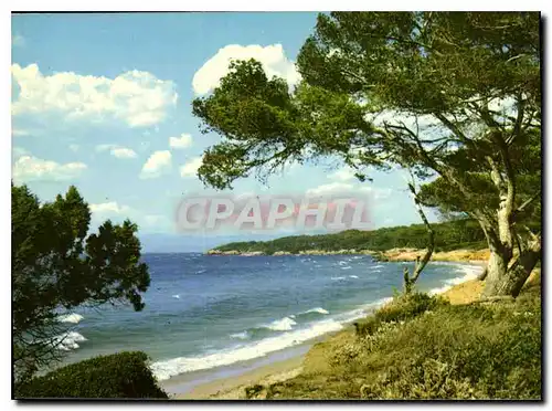 Moderne Karte Lumiere et Beautte de la Cote d'Azur Paysage typique de la Cote