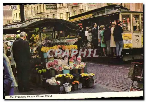 Moderne Karte San Francisco Unique Flower Stand