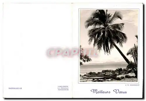 Cartes postales moderne Madagascar Meilleurs Voeux