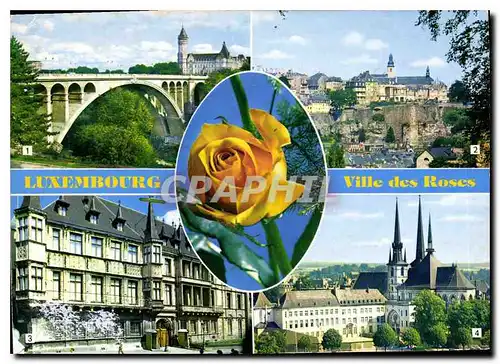 Moderne Karte Luxembourg Ville des Roses