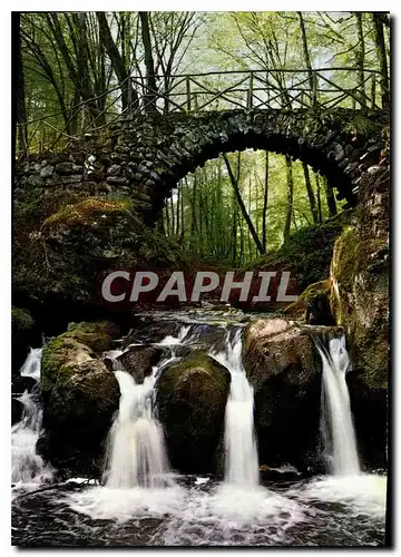 Cartes postales moderne Petite Suisse Luxembourgeoise La Pittoresque cascade du Schiessentumpel au Mullerthal