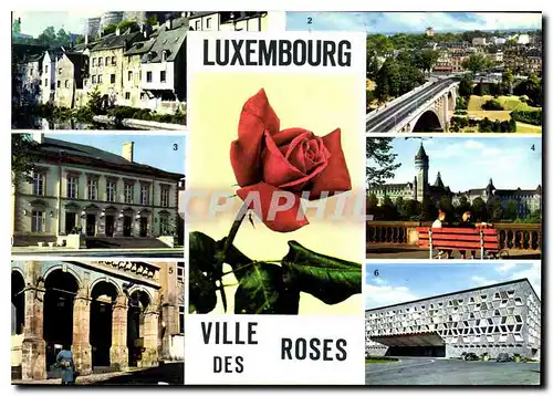 Moderne Karte Luxembourg Ville des Roses