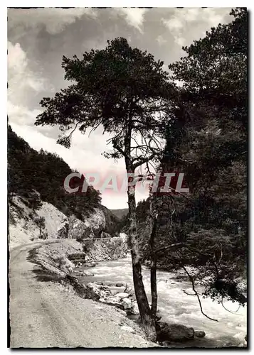 Cartes postales moderne Vallee du Queyras Les Gorges du Guil