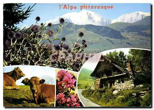 Moderne Karte L'Alpe pittoresque