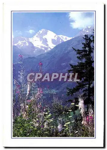 Cartes postales moderne Purete et Splenduer des Alpes