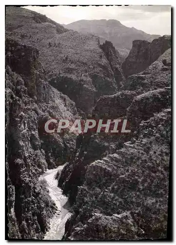 Cartes postales moderne La Route des Grandes Alpes Gorges de Daluis Le Point Sublime du Defile du Var