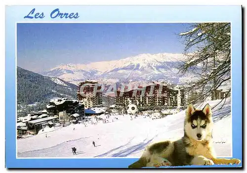 Cartes postales moderne Les Orres Chien Husky