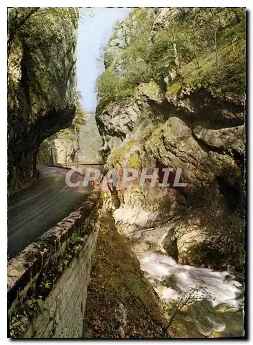 Cartes postales moderne Dans les Alpes Route et Ruisseau dans les Gorges