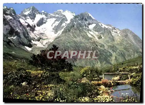 Cartes postales moderne Col du Lautaret Le Jardin Alpin et la Meije