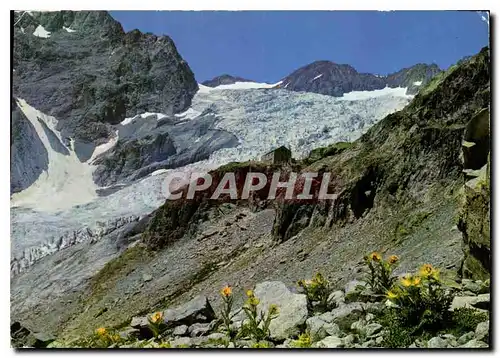 Cartes postales moderne Seracs et Refuge du Glacier Blanc