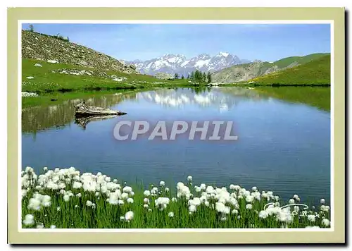 Moderne Karte Regard sur la montagne Lac du Laucet Dans le fond le Massif des Ecrins