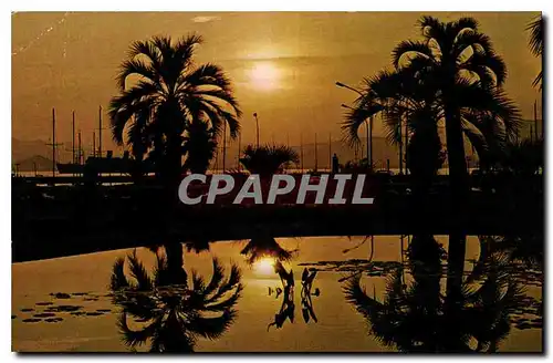 Cartes postales moderne Cote d'Azur French Riviera Coucher de Soleil