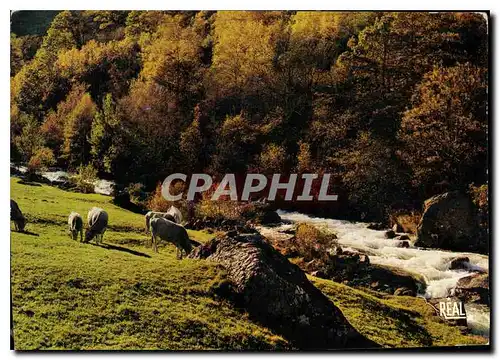 Cartes postales moderne Automne en Ariege