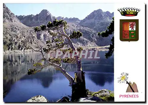 Cartes postales moderne Lumiere et couleurs des Pyrenees