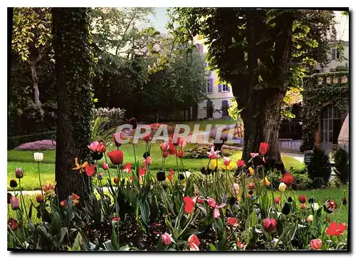 Cartes postales moderne Pamiers Les Jardins